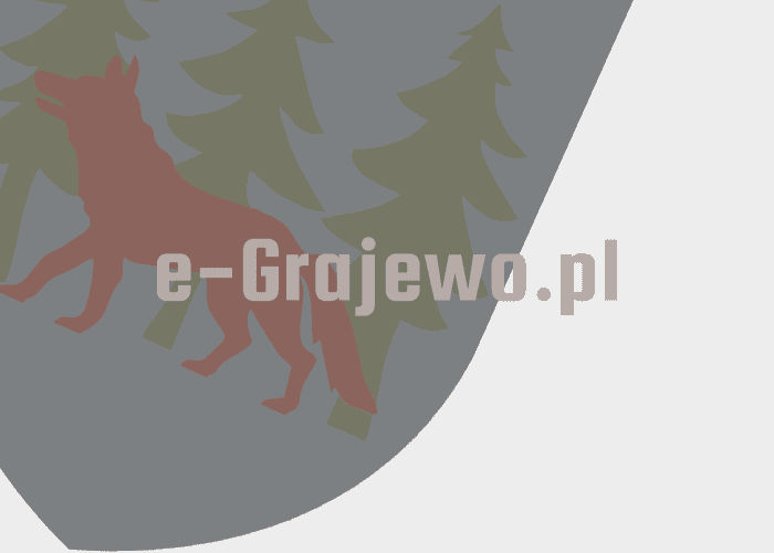 Grajewo ogłoszenia: Sprzedam skuter chińczyk 50 cm3 uszkodzony kopniak skuter z...