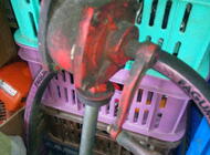 Grajewo ogłoszenia: Sprzedam dwie pompki do paliwa polskie sprawne bardzo konkretny... - zdjęcie