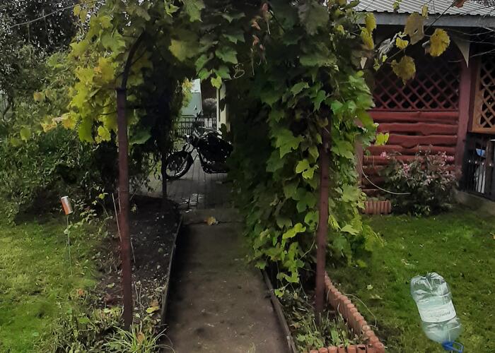 Grajewo ogłoszenia: Sprzedam działkę ROD 300 m2; woda, prąd, toaleta - wszystko...