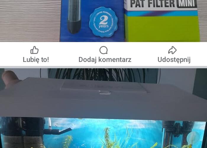 Grajewo ogłoszenia: sprzedam akwarium 25 litrów z oświetleniem ledowym i...
